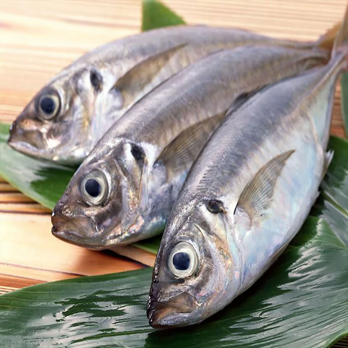 ماهی های تازه صید شده در محمودآباد 785747