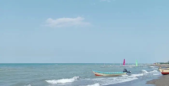 قایق در کنار ساحل مواج در زیر آسمان صاف در بیشه کلا 48697896