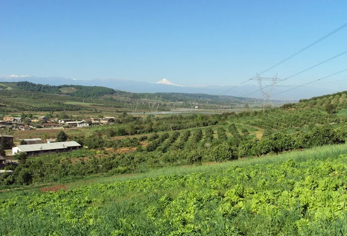 پوشش گیاهی سرسبز و زمین های کشاورزی روستای افراتخت 416546541521