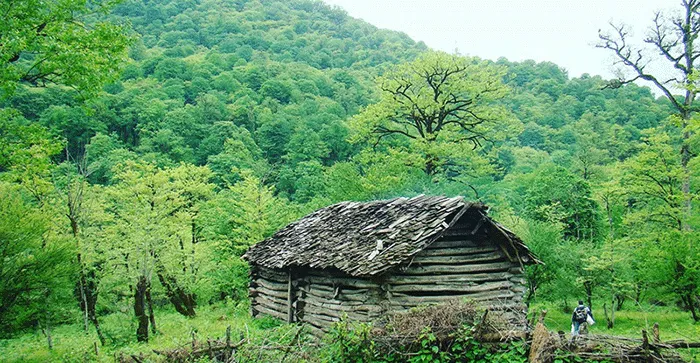 کلبه چوبی با پوشش گیاهی سرسبز روستای افراسرا 5416846841550