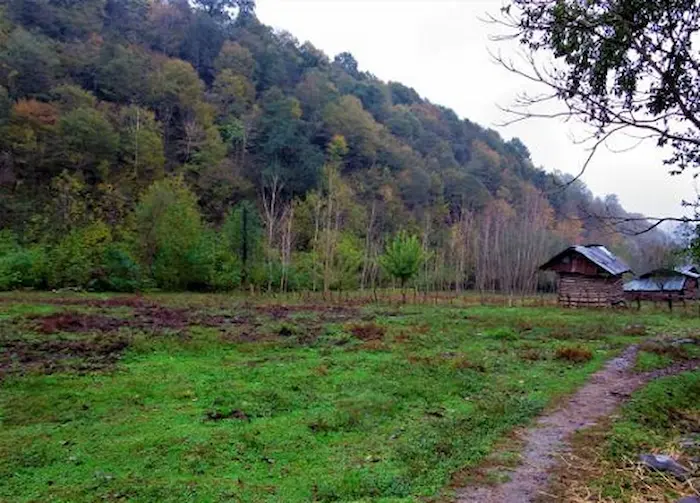 کلبه چوبی و درخت های سرسبز پاییزی روستای بالانقیب کلا بابلسر در روز بارانی 456847