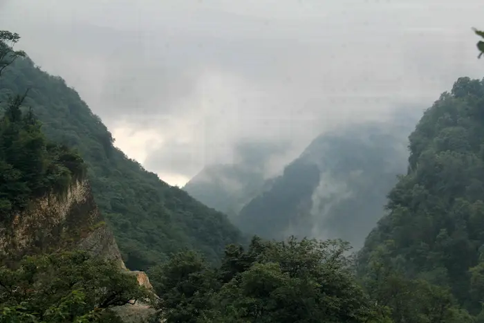 ارتفاعات جنگل سرسبز گلندرود اطراف خانه نیما یوشیج 564165