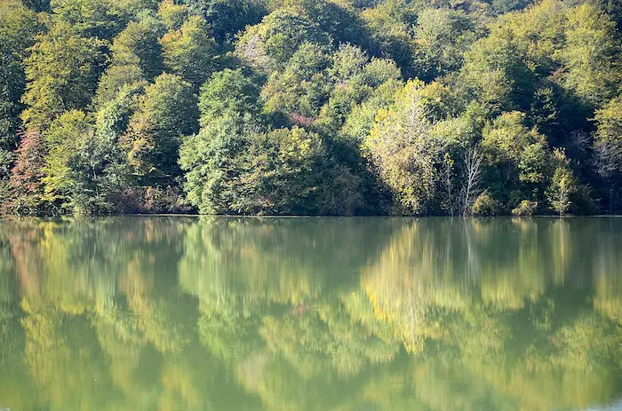 دریاچه الیمالات و جنگل سرسبز در مازندران 485456