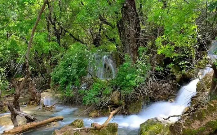 آبشار سیسنگان استان مازندران 33658741256985