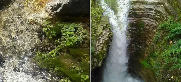 آبشار ونوش در شهر نور 3369854712547