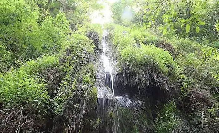 آبشار سیسنگان در مازندران 3365874123568