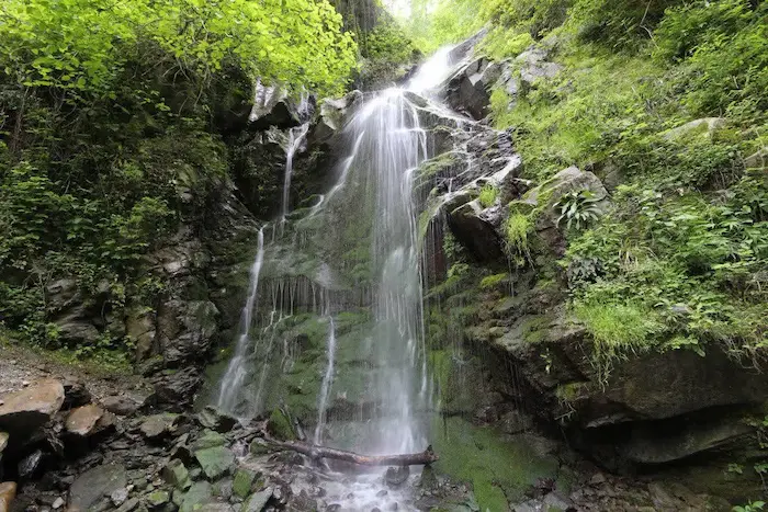 آبشار پر تلاطم کپ در جنگل سرسبز 56652