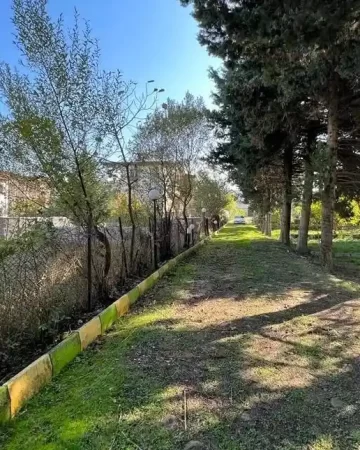 مسیر زمین فروشی 600 متری باغی در علمده 255441361.