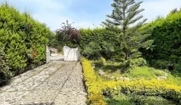 درب ورودی آهنی سفید پوشیده از درختان باغ سرسبز ویلا باغ 420 متری دوبلکس در درویش آباد 254584651312
