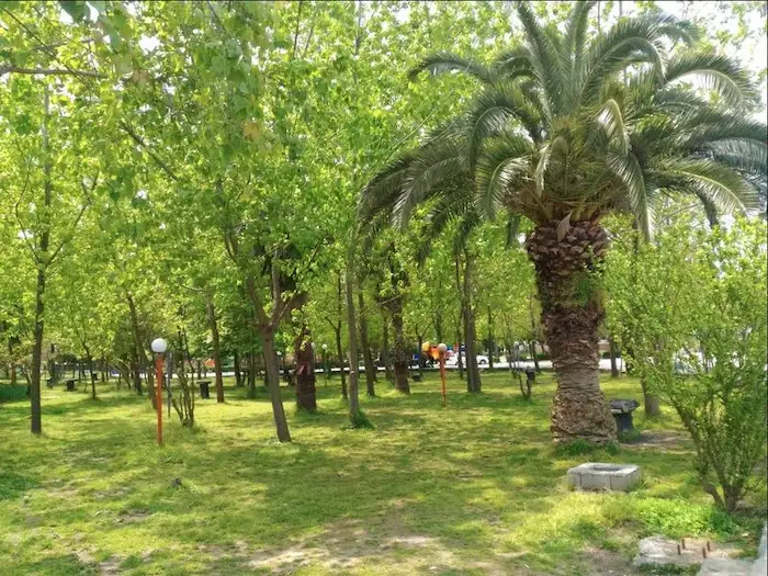 درختان سر به فلک کشیده پارک لاله محمودآباد