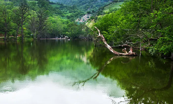 سایه افکنی درختان بر آب های دریاچه شورمست 46854198