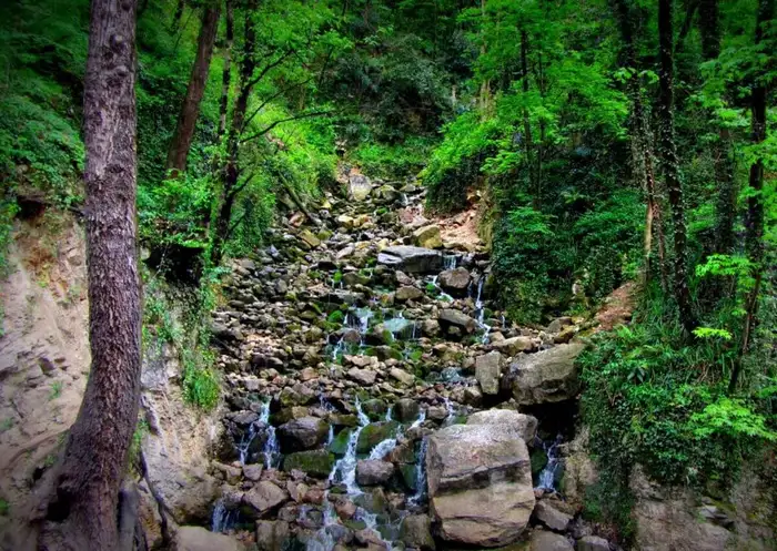 آبشار آب پری با درختان سرسبز اطرافش 54212555