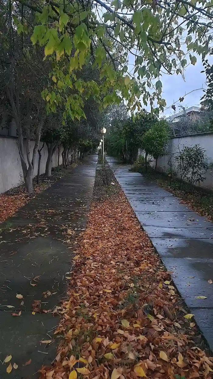 خیابان پوشیده از برگ های پاییزی در شهرک فرزادشهر 46374865440
