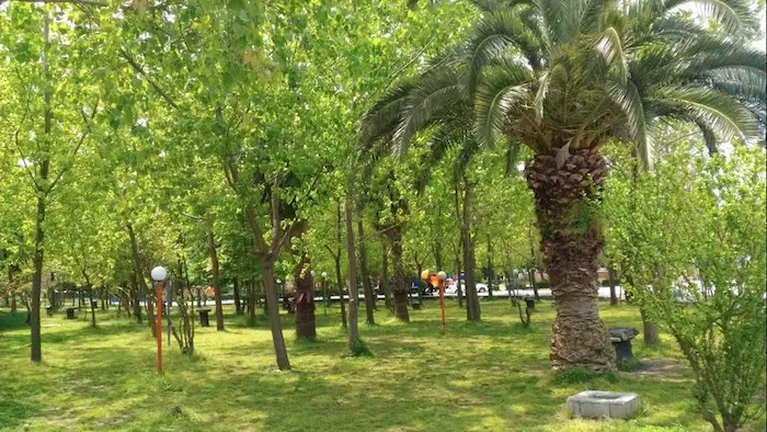 درختان سرسبز و طبیعت پوشیده از چمن پارک طاهباز 25455531210