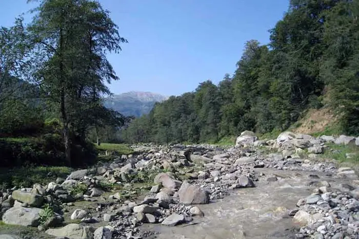 محوطه سرسبز به همراه سنگ های فراوان در کنار رودخانه 6484864