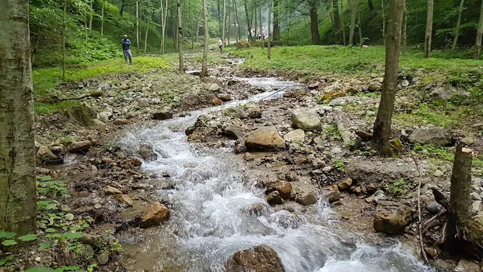 آب های جاری در رودخانه وسط پارک جنگلی کشپل رویان 5587458
